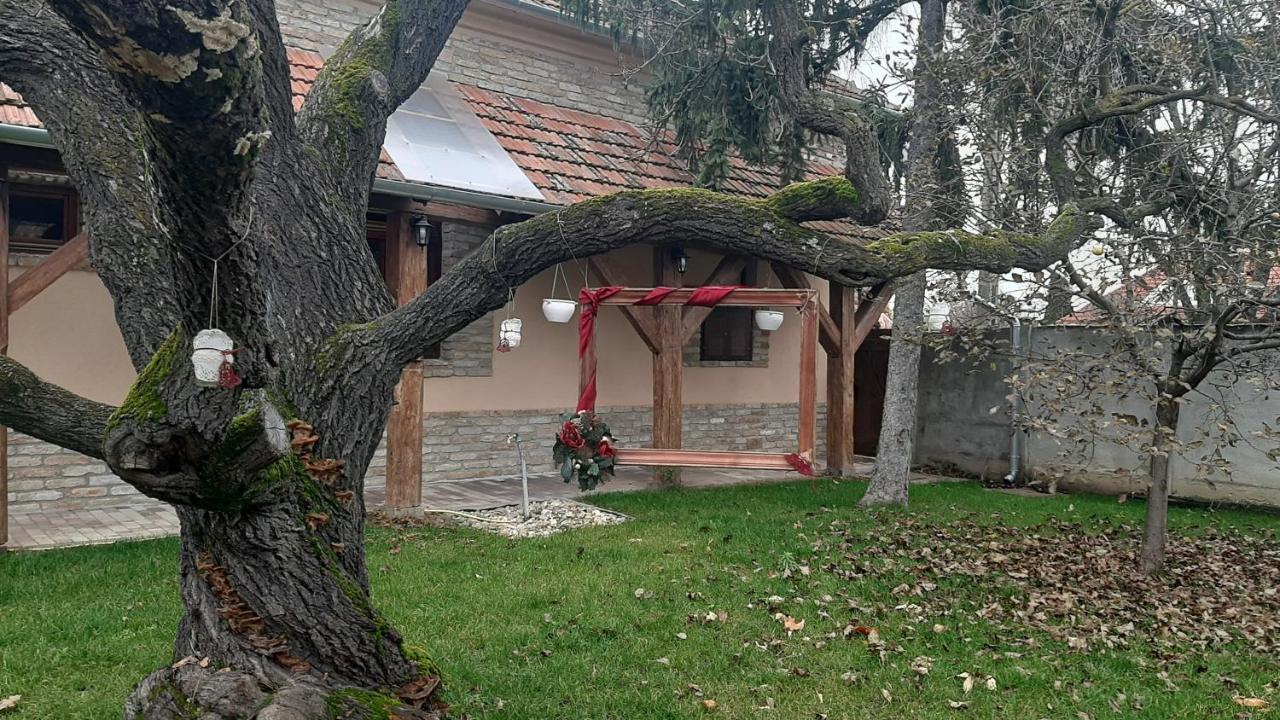 Villa Rusztika Gyula Buitenkant foto